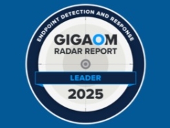 2025 GigaOm Radar Report Leader badge