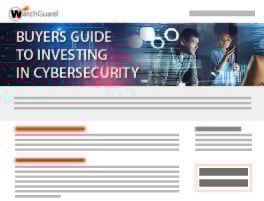 Thumbnail: Buyers Guide: Investing in Security