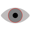 Gray eye icon